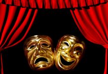 Teatrul Național din Timișoara lansează cea de-a XXVI-a ediție a Festivalului FEST – FDR