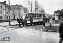 Ziua Transportului Public Timişorean, marcată prin plimbări cu tramvaiul tras de cai sau cu ”Gemenele”