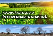 Gabriel Toie, secretar coordonator ALDE Timiș: ALO, PNL, de PACE ați auzit? Sau doar la război vă e gândul? Asta ne așteaptă dacă veniți voi la guvernare?