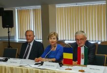 Acord de parteneriat tranfrontalier româno-maghiar