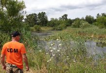 Au început lucrările de curățare și ecologizare la Balta cu Nuferi