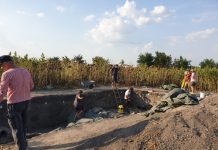 Descoperiri arheologice importate făcute în Timiș: artefacte din mileniul al VI-lea, înaintea erei noastre