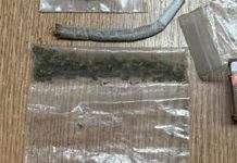 Tineri care se drogau în Parcul Botanic, prinși de polițiști, la miezul nopții