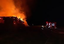 Incendiu de proporții în vestul țării. Un saivan a fost mistuit de flăcări