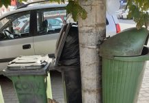 Brantner mai face curat în Timișoara până la mijlocul lunii. Ce se întâmplă cu societatea Primăriei