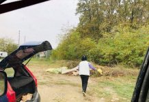 Persoane certate cu bunul simț, prinse cu ajutorul camerelor de supraveghere, la Timișoara