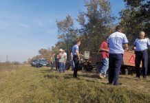 Hoți de lemne, zăriți în apropiere de Timișoara. Amendă usturătoare primită