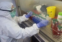 Nou record negativ de infectări cu coronavirus! 2.343 de cazuri noi, în ultimele 24 de ore