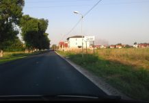 Începe acțiunea de deparazitare în Giroc și Chișoda