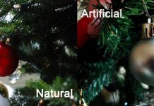 Brad natural sau din plastic? Care e alegerea cu adevărat eco?