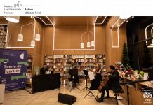 Tribul Artistic dezvoltă cel mai actual studiu despre preferințele muzicale ale publicului timișorean