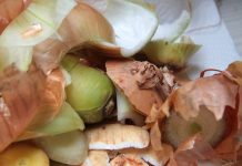 ”În Legea compostului problemele sunt lipsa normelor tehnice de aplicare, lipsa facilităților de tratare și implicarea primăriilor”