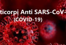 Testele pentru depistarea anticorpilor anti Covid arata daca ai imunitate sau nu