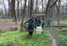 A început mutarea animalelor de la ZOO Timișoara!