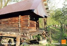 Hai la Rudăria! Peste 200 de voluntari implicați în prima etapă a proiectului