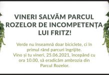 Marian Cucşa invită timişorenii de vinerea verde să salveze Parcul Rozelor de ambrozie şi buruieni