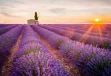 Levantica Fest – Gata de start!