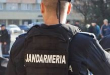 Ziua Jandarmeriei Române, sărbătorită timp de două zile la Timișoara. Ce evenimente se organizează