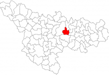 Gest superb al unor… anonimi cu suflet mare! Donație de aproape 120.000 de euro pentru mamele victime ale violenței în familie