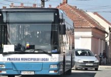 Primăria Lugoj plătește 55.000 de lei pentru un studiu, pentru viitorul serviciu de transport public al orașului!