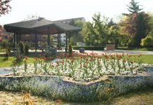 Parcul Botanic va fi iluminat public pentru prima dată de la amenajarea sa!