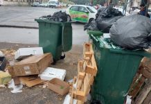 Un singur operator de colectare deșeuri în tot județul Timiș. Planurile administrației județene