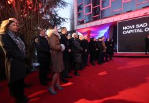 Schimb de experiență în organizarea Capitalei Culturale. Delegație a CJ Timiș, la Novi Sad