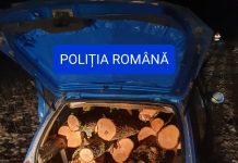 Trei infracțiuni dintr-o lovitură pentru un hoț de lemne