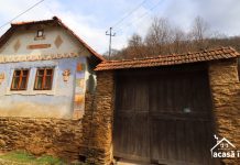 Localitatea Fărășești din Timiș va fi transformată la începutul verii. Va avea loc a patra ediție a Color the Village