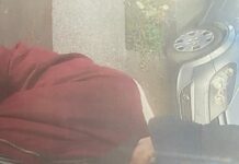 Poliția cere ajutorul timișorenilor pentru a găsi un hoț