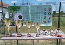 O competiţie bine organizată care a făcut cinste oraşului şi în străinătate: Eurocup Kids 2010