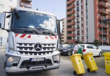 Cum se pot debarasa timișorenii în 2026 de bradul de Crăciun