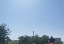 Politia Locala Timisoara si ADID Timis au participat la o actiune de ecologizare