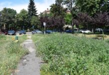 Se anunță noi amenzi la Primărie: Garda de Mediu face controale să vadă cât de mare e iarba în parcuri