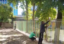 Cu două garduri vopsite nu se rezolvă infrastructura şcolară din Timişoara