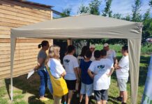 ADID, prezentă la Codru Festival! Hai și tu la Pădurea Bistra