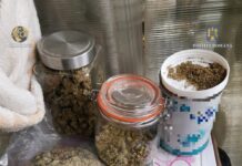 Grupări infracționale specializate în trafic de droguri de risc și mare risc, destructurate