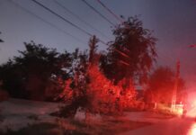 Noapte agitată pentru pompierii militari timişeni