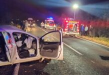 Pieton, lovit mortal pe A1 de un autotren. Şoferul şi-a continuat drumul