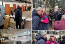 Cozi, îngrămădeală şi nervi la distribuirea ajutoarelor. Subprefectul Ionescu face un apel către normalitate