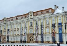 TM 2023: Muzeul Național de Artă Timișoara oferă noi gratuități publicului