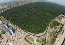 Pădurea Verde se transformă într-un parc natural?!