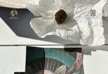 Traficanți de droguri, ridicați de acasă, după ce aceștia au vândut din plin la un festival în Văliug