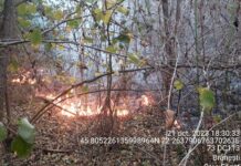 Weekend „incendiar” pentru pompierii militari
