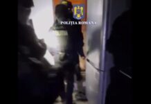 Hoţi „informatici”, treziţi cu „mascaţii”