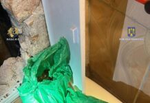 Traficanţii de droguri s-au trezit cu mascaţii la uşă. Nu veneau de Halloween…