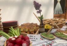 Hai într-o lume minunată cu mori de apă şi gust puternic de primăvară