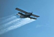 La Şag are loc o acţiune de dezinsecţie aeriană