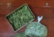 Infractorul zilei: a pleat de acasă cu drogurile și și-a făcut din mașină adevărat magazin de vândut „iarbă”