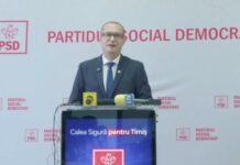 Cu PSD Timiș, despre reindustrializarea României